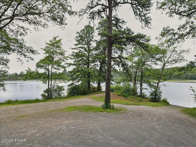 193 Old Rte 402, Dingmans Ferry, PA 18328 - water view