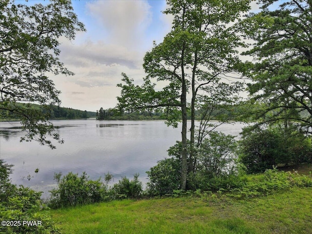193 Old Rte 402, Dingmans Ferry, PA 18328 - water view
