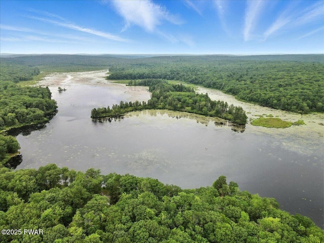193 Old Rte 402, Dingmans Ferry, PA 18328 - aerial view of a heavily wooded area and a large body of water