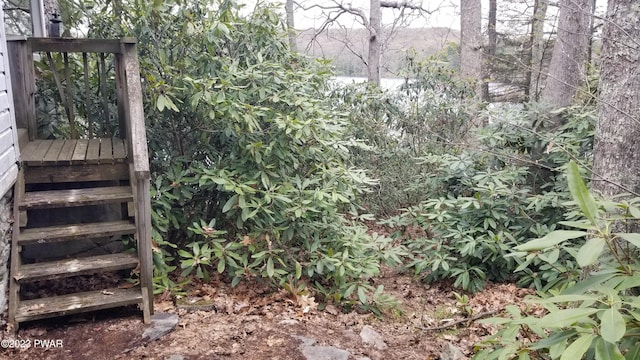 193 Old Rte 402, Dingmans Ferry, PA 18328 - view of yard