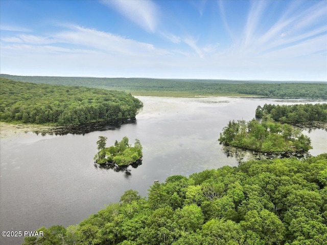 193 Old Rte 402, Dingmans Ferry, PA 18328 - water view with a forest
