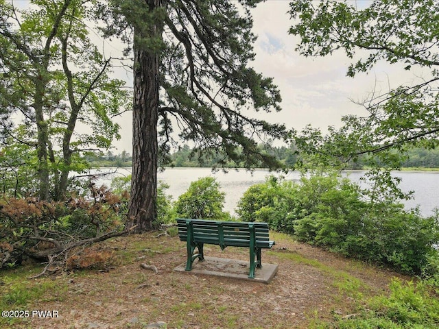 193 Old Rte 402, Dingmans Ferry, PA 18328 - surrounding community featuring a water view