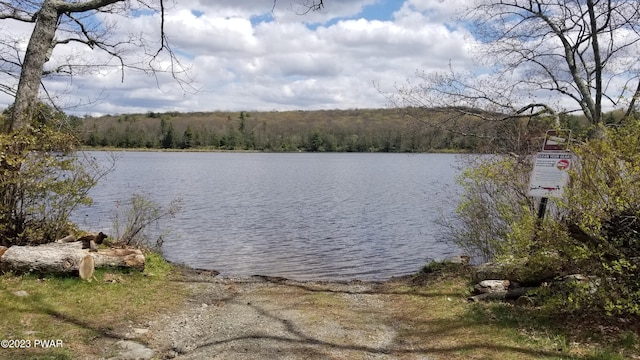 193 Old Rte 402, Dingmans Ferry, PA 18328 - water view with a heavily wooded area