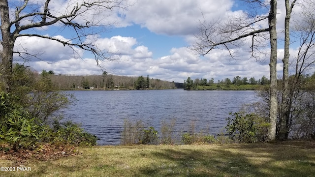193 Old Rte 402, Dingmans Ferry, PA 18328 - water view featuring a forest