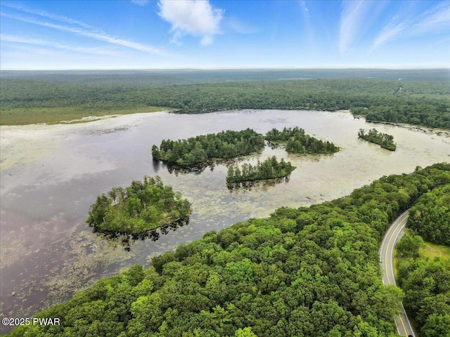 193 Old Rte 402, Dingmans Ferry, PA 18328 - drone / aerial view of a forest and a large body of water