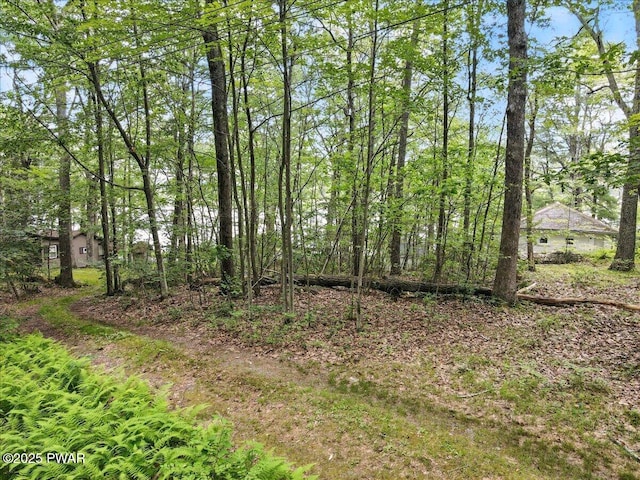 193 Old Rte 402, Dingmans Ferry, PA 18328 - view of yard