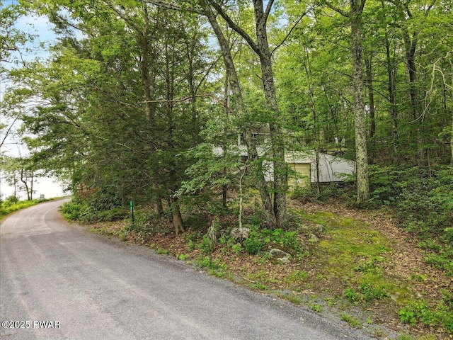 193 Old Rte 402, Dingmans Ferry, PA 18328 - view of asphalt road