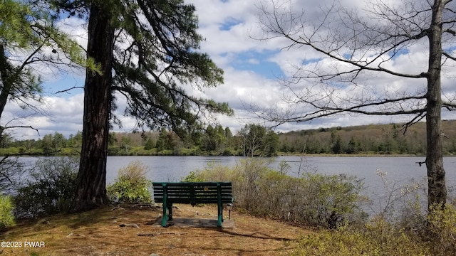 193 Old Rte 402, Dingmans Ferry, PA 18328 - water view with a heavily wooded area