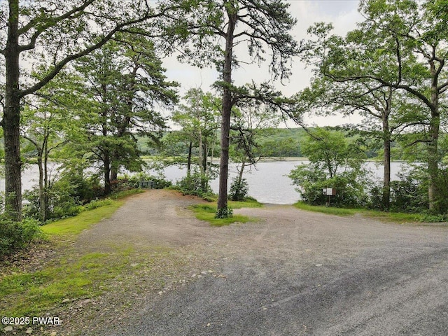 193 Old Rte 402, Dingmans Ferry, PA 18328 - water view