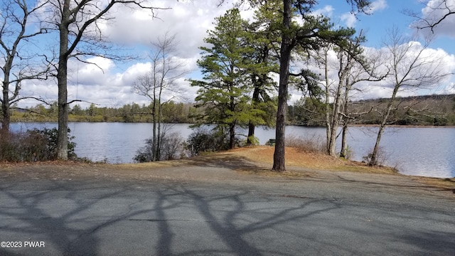 193 Old Rte 402, Dingmans Ferry, PA 18328 - water view