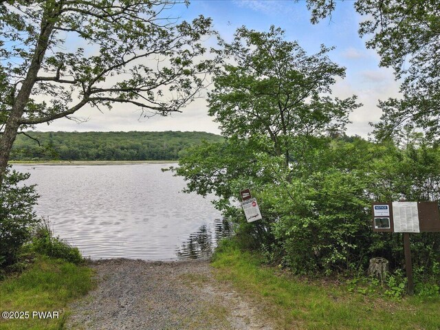 193 Old Rte 402, Dingmans Ferry, PA 18328 - water view with a forest