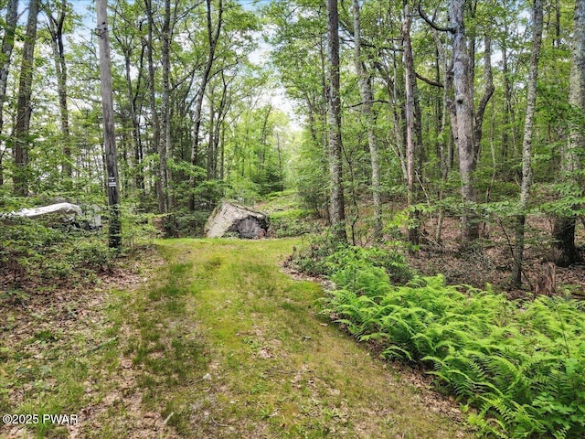 193 Old Rte 402, Dingmans Ferry, PA 18328 - view of yard featuring a forest view