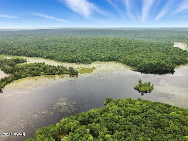 193 Old Rte 402, Dingmans Ferry, PA 18328 - aerial view of a heavily wooded area and a nearby body of water