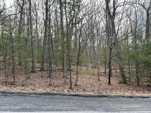 LOT35 Ponderosa Pne, Hawley, PA 18428 - photo 3