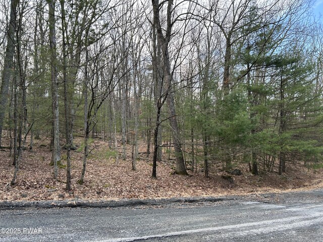 LOT35 Ponderosa Pne, Hawley, PA 18428 - photo 2