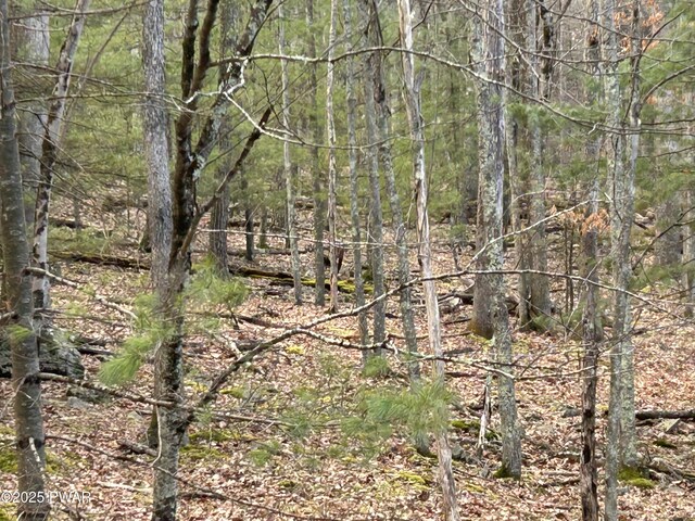 LOT35 Ponderosa Pne, Hawley, PA 18428 - photo 4