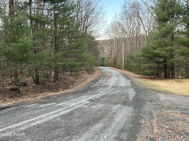 LOT35 Ponderosa Pne, Hawley, PA 18428 - photo 6