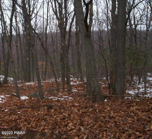 LOT148B Sheridan Rd, Hawley, PA 18428 - photo 10
