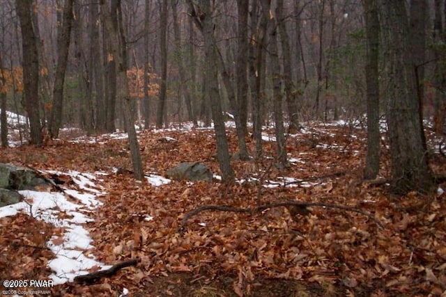 LOT148B Sheridan Rd, Hawley, PA 18428 - photo 9