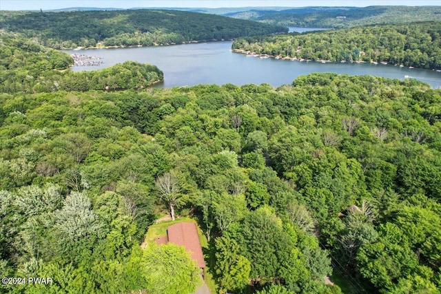49 White Pine Cir, Lake Ariel, PA 18436 - drone / aerial view of a heavily wooded area and a nearby body of water