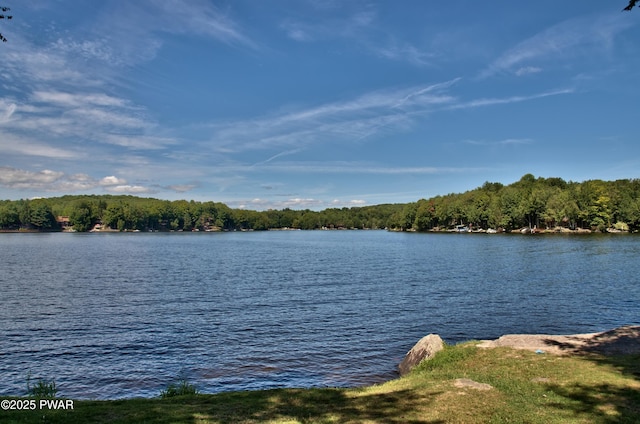 property view of water featuring a forest view