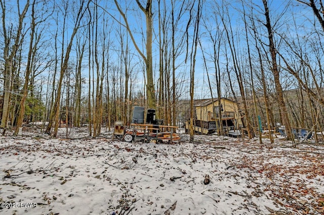 view of yard covered in snow