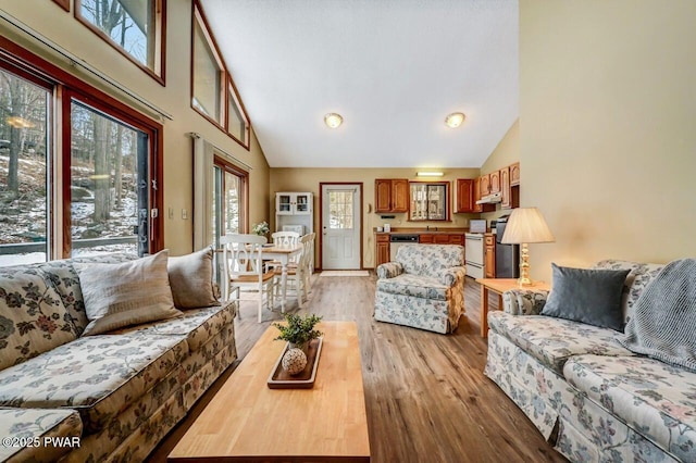 living room featuring light wood-style flooring and high vaulted ceiling