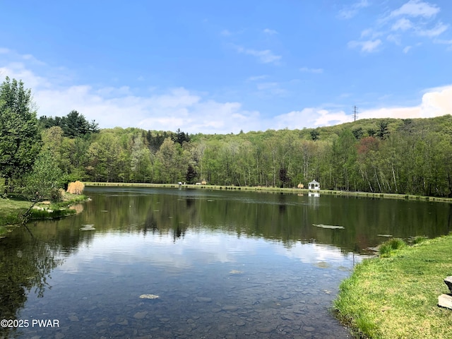 504 St Ives Ct, Bushkill, PA 18324 - water view featuring a heavily wooded area