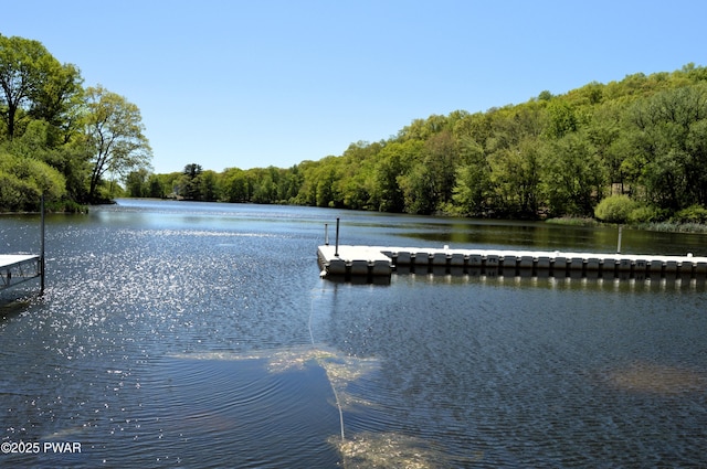 504 St Ives Ct, Bushkill, PA 18324 - dock with a water view and a view of trees