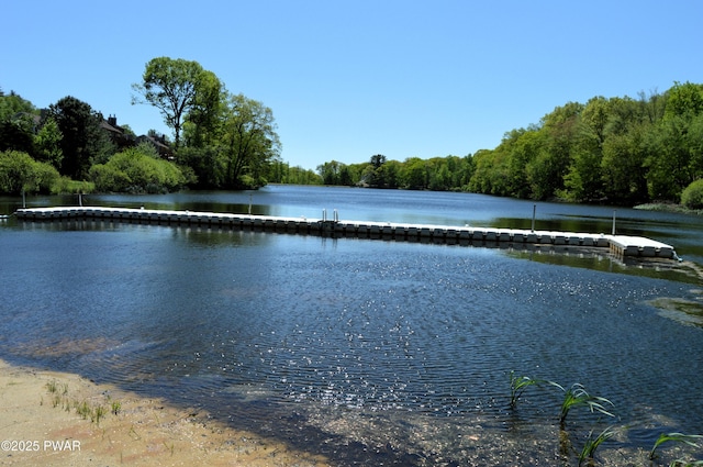 504 St Ives Ct, Bushkill, PA 18324 - water view with a heavily wooded area