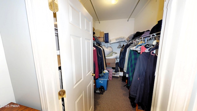 spacious closet with carpet