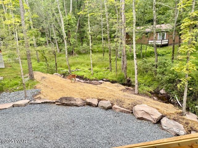 9 Wallenpaupack Dr, Lake Ariel, PA 18436 - view of yard featuring a forest view