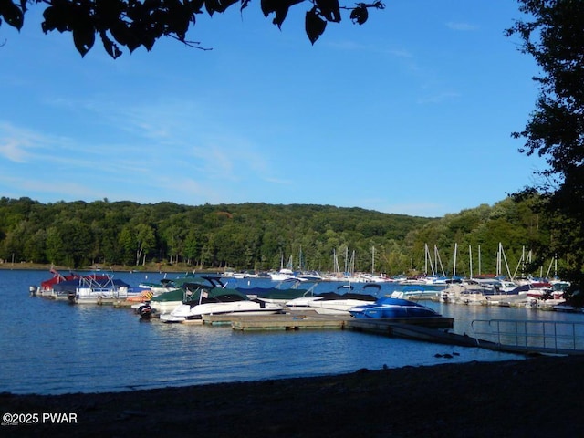 9 Wallenpaupack Dr, Lake Ariel, PA 18436 - water view with a boat dock and a marina
