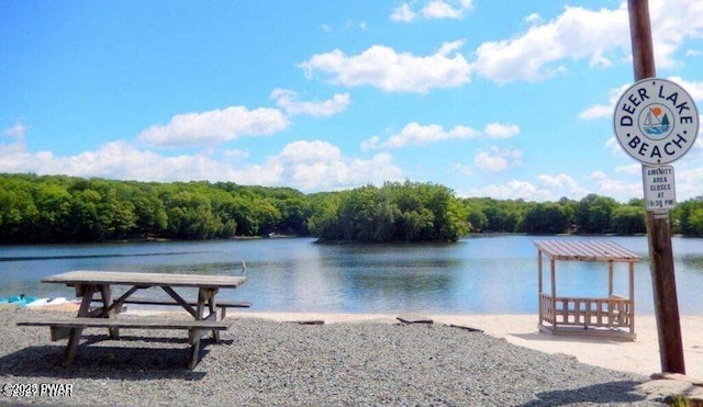 9 Wallenpaupack Dr, Lake Ariel, PA 18436 - water view featuring a heavily wooded area