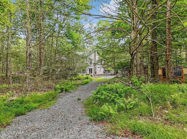 134 Split Rock Rd, Newfoundland, PA 18445 - photo 84