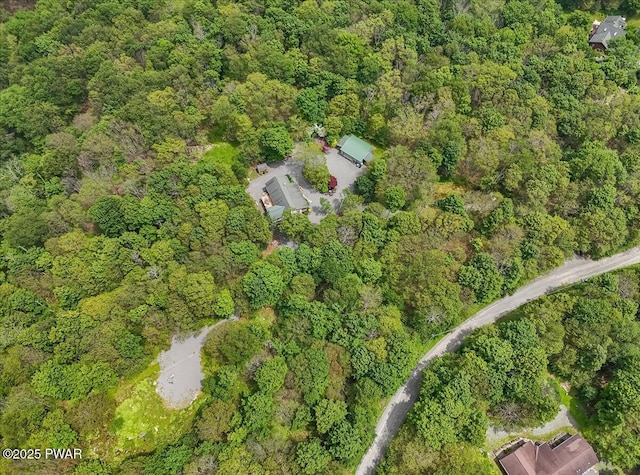 134 Split Rock Rd, Newfoundland, PA 18445 - photo 90