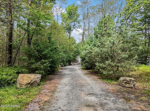 134 Split Rock Rd, Newfoundland, PA 18445 - photo 86
