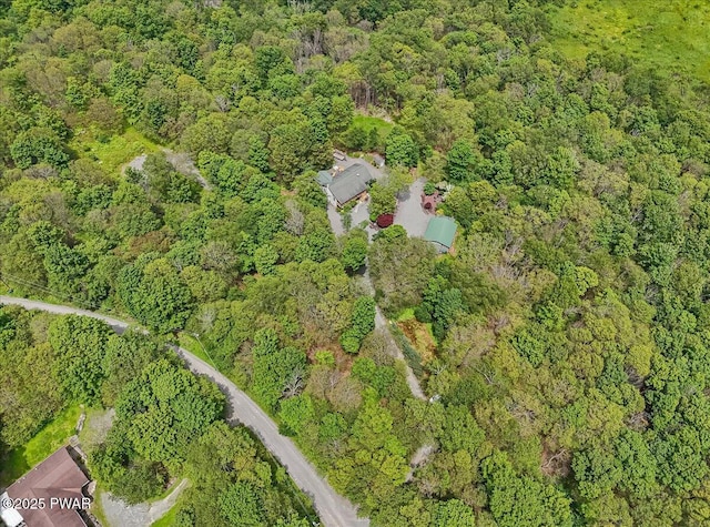 134 Split Rock Rd, Newfoundland, PA 18445 - photo 92