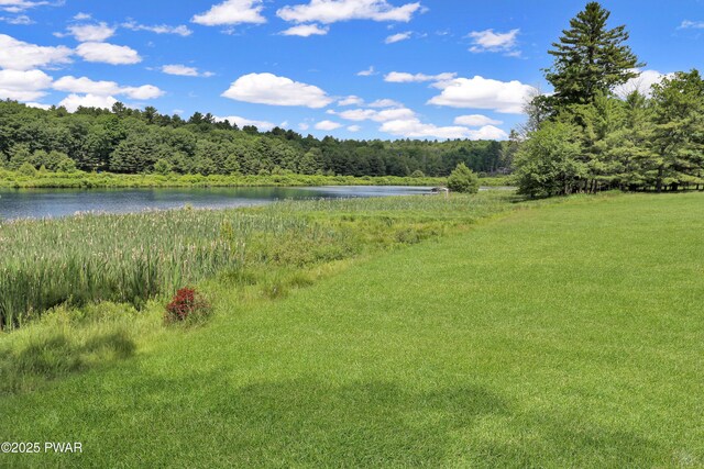 101 Bayberry Dr, Milford, PA 18337 - water view with a heavily wooded area