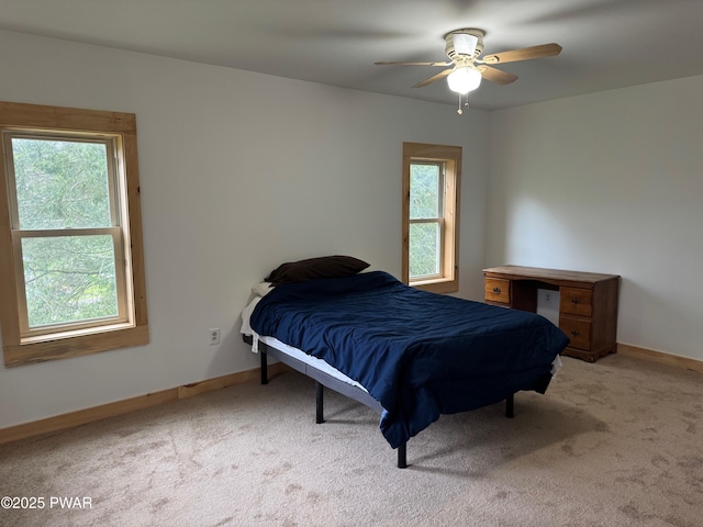 8 Kaiser Strasse, Beach Lake, PA 18405 - bedroom featuring multiple windows, carpet, and baseboards