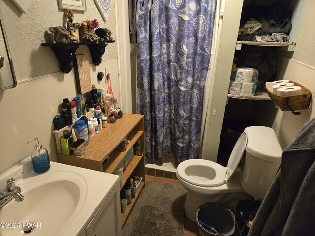 bathroom featuring sink, toilet, and a shower with shower curtain