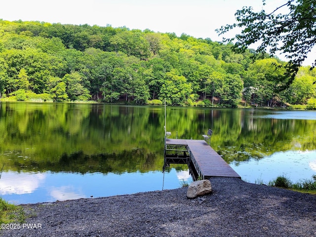 104 Radcliff Rd, Bushkill, PA 18324 - dock featuring a water view and a view of trees