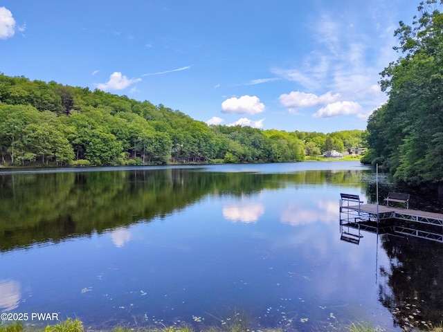 104 Radcliff Rd, Bushkill, PA 18324 - water view with a forest and a floating dock