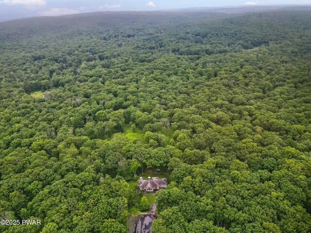 1419 Bear Dr, Bushkill, PA 18324 - drone / aerial view of a forest