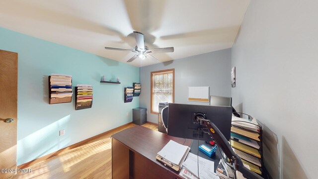 office featuring ceiling fan and light hardwood / wood-style flooring