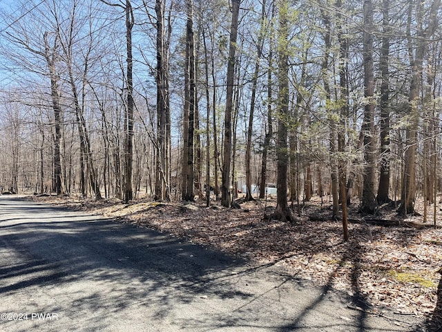 Listing photo 2 for LOT1138 Chipmunk Ln, Lake Ariel PA 18436