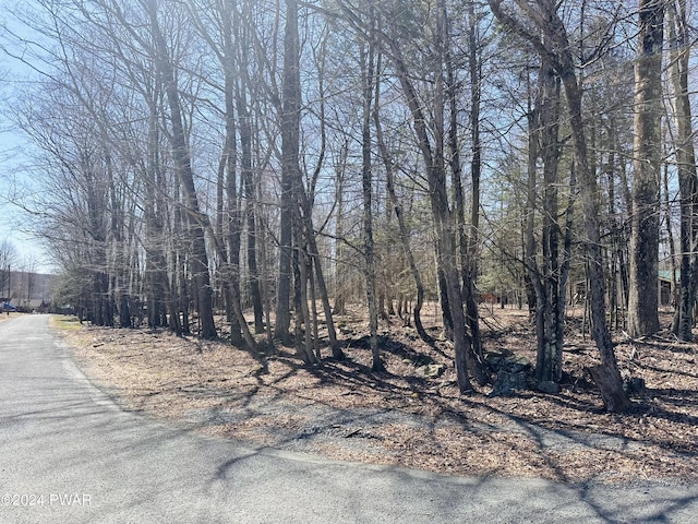 Listing photo 3 for LOT1138 Chipmunk Ln, Lake Ariel PA 18436