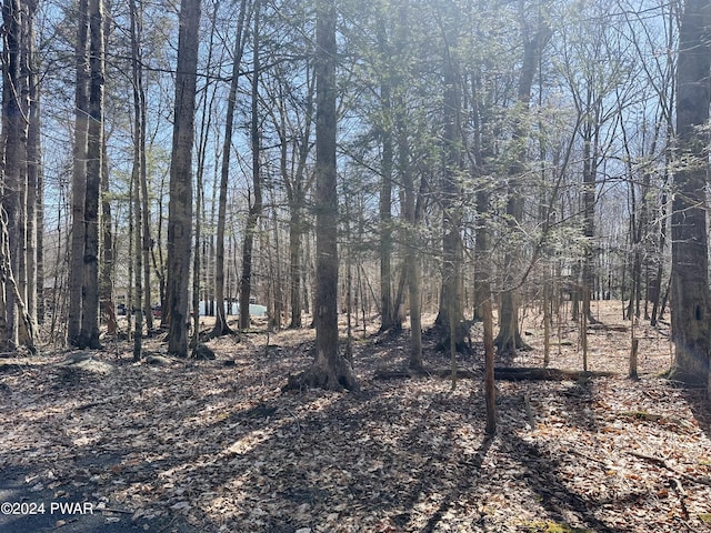 LOT1138 Chipmunk Ln, Lake Ariel PA, 18436 land for sale