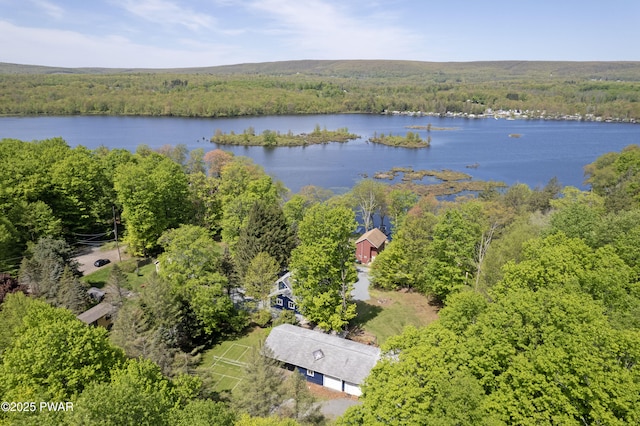 128 Rosebank Rd, Lake Ariel, PA 18436 - photo 89