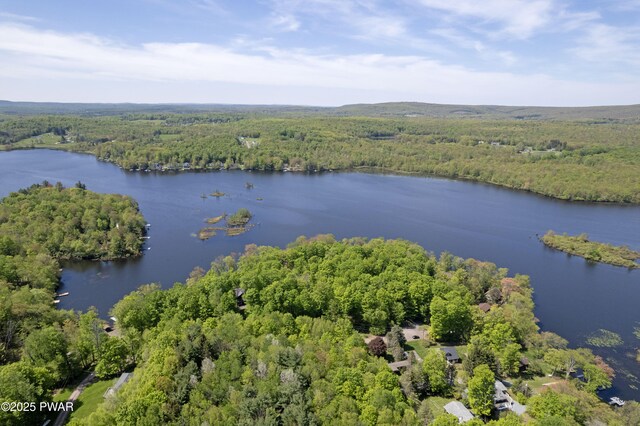 128 Rosebank Rd, Lake Ariel, PA 18436 - photo 91